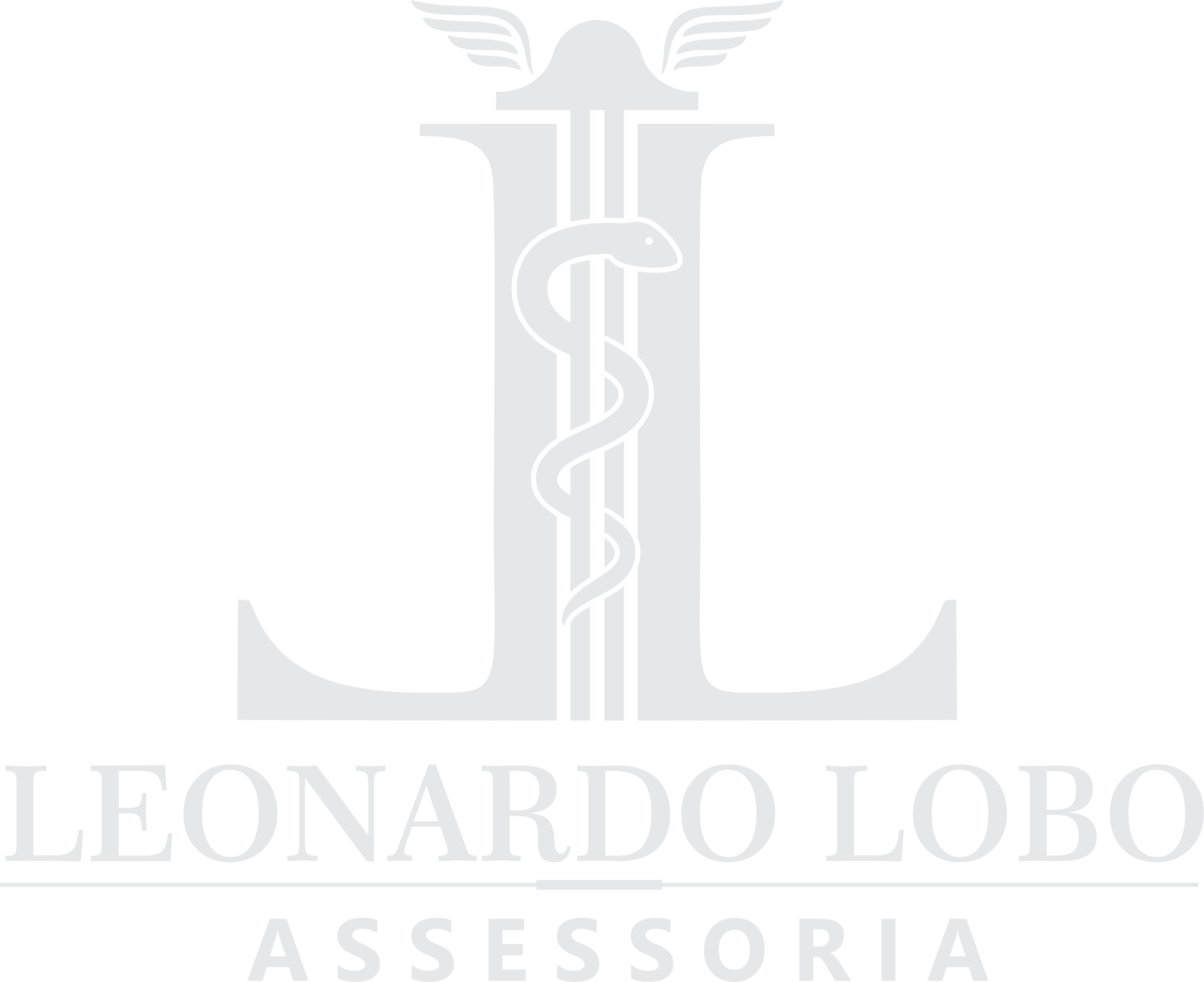 Leonardo Lobo Assessoria — Gestão, Contabilidade e Tecnologia